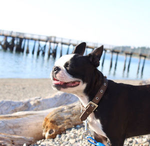 Meet your Posher, Madisen